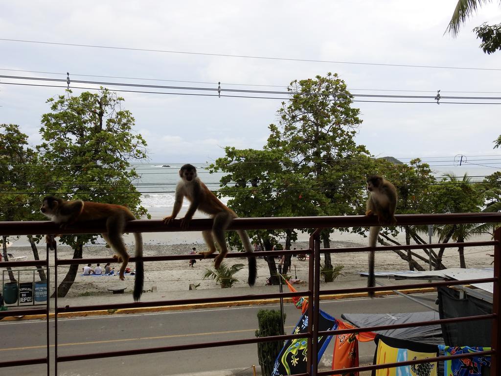 The Elephant Castle Beach Front Penthouse Manuel Antonio Eksteriør bilde
