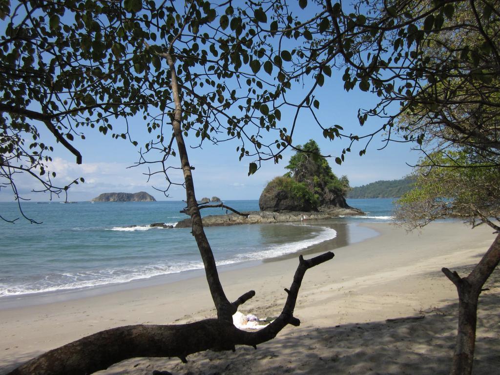 The Elephant Castle Beach Front Penthouse Manuel Antonio Eksteriør bilde